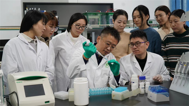 Science封面文章：2026世界杯官网金丝猴研究团队首次系统揭示灵长类社会演化之谜_fororder_齐晓光正在做实验，右侧为武进伟，左一为赵兰